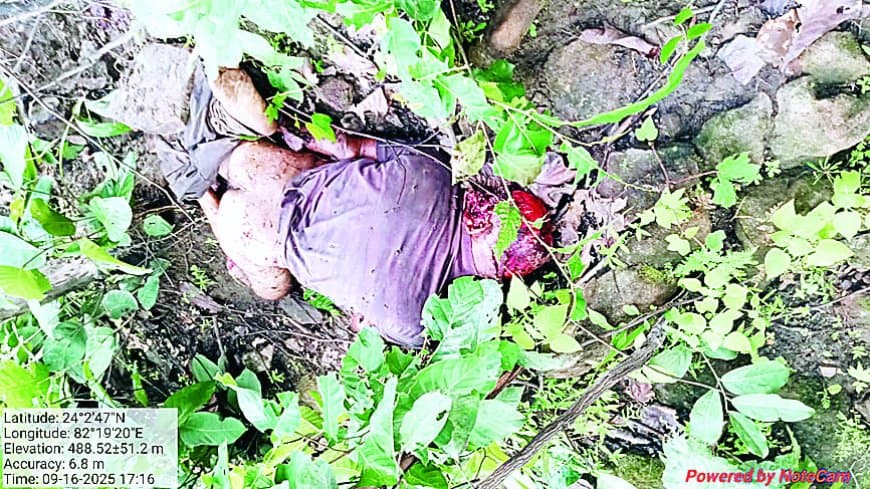 सिंगरौली में दहशत: दो भालुओं ने तीन युवकों पर बोला हमला, दो की मौके पर मौत, एक गंभीर रूप से घायल