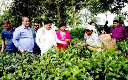 मध्यप्रदेश और असम के बीच वन्य जीव पर्यटन में साझेदारी के लिए होगी विशेष पहल