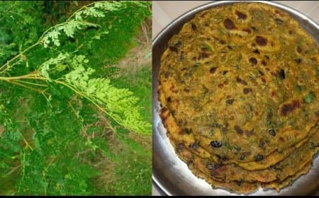 सहजन के पत्तों से बनाएं खस्ता पराठे, इन्हें खाने से मिलता है शरीर को भरपूर पोषण 