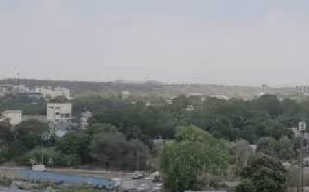 मध्य प्रदेश में डिप्रेशन का असर: अगले 4 दिन बारिश, तापमान में उतार-चढ़ाव और कड़ाके की ठंड का अनुमान