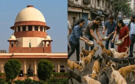 आवारा कुत्ता केस... सुप्रीम आदेश- राज्यों के मुख्य सचिव हों हाजिर