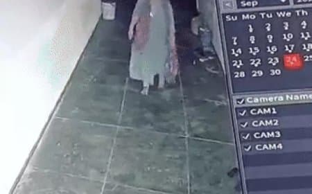 DSP Kalpana Raghuvanshi: MP DSP पर दोस्त के घर से ₹2 लाख चोरी का आरोप, FIR दर्ज; PHQ सख्त