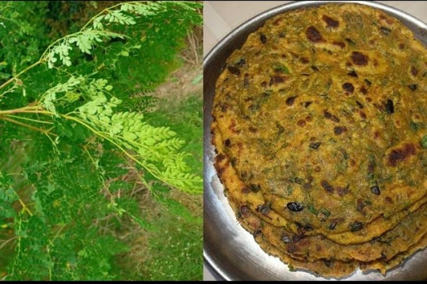 सहजन के पत्तों से बनाएं खस्ता पराठे, इन्हें खाने से मिलता है शरीर को भरपूर पोषण 
