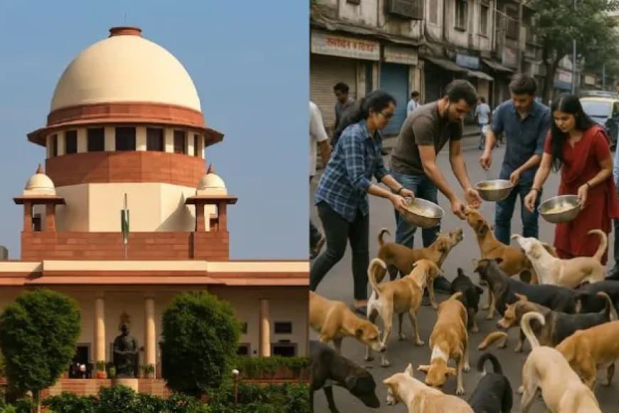 आवारा कुत्ता केस... सुप्रीम आदेश- राज्यों के मुख्य सचिव हों हाजिर