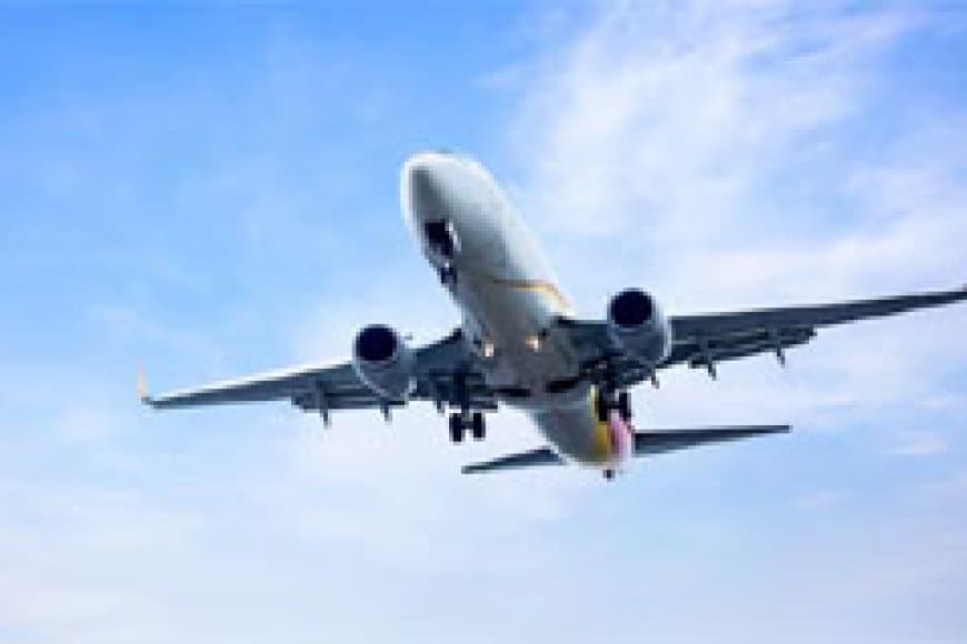 भारतीय युवक ने विमान में कांटा चम्मच से दो युवाओं पर किया हमला