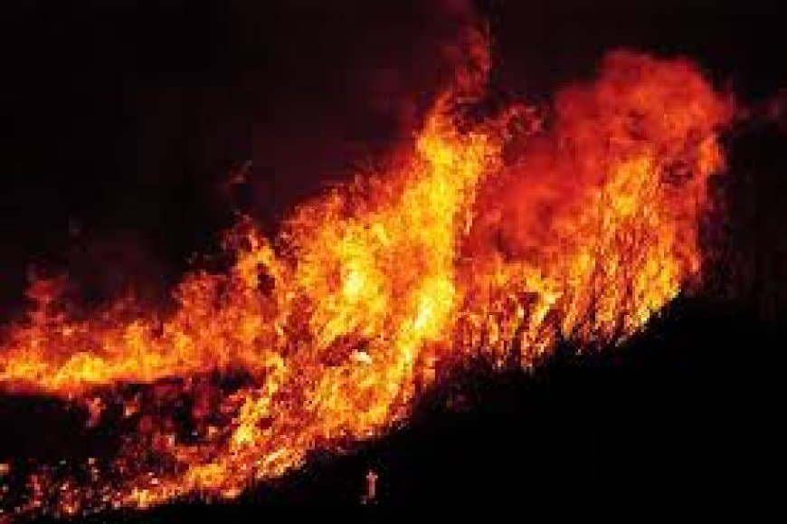 भोपाल में दिवाली की रात आगजनी की 18 घटनाएं, फायर ब्रिगेड की तत्परता से टले बड़े हादसे