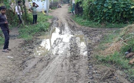 ग्राम बूढ़ा में गंदगी का अंबार, सड़कों पर बह रहा गंदा पानी नालियों के अभाव में बीमारियों का बढ़ा खतरा
