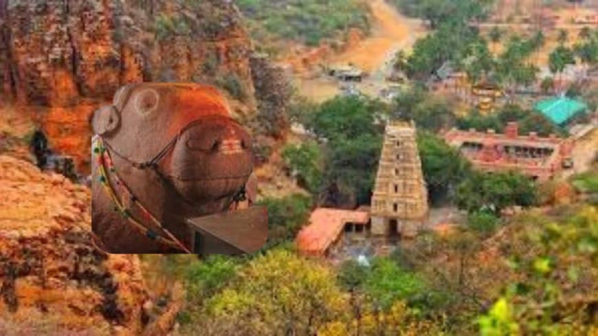 कलयुग में बढ़ता हुआ नंदी महाराज का मंदिर: जानिए यागंती उमा महेश्वर मंदिर का रहस्य और इतिहास