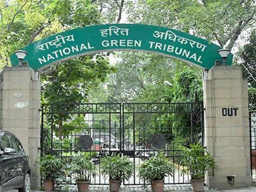 एनजीटी ने कहा- कानून लागू करने वाले ही तोड़ेंगे तो रक्षा कौन करेगा...