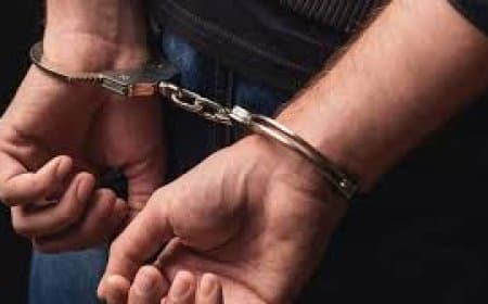 अमेरिका में पाकिस्तान मूल का युवक हथियारों के साथ गिरफ्तार, स्कूल में सामूहिक गोलीबारी की साजिश का खुलासा