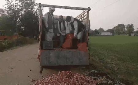 किसान ने 50 कट्टी प्याज सड़क पर फेंकी