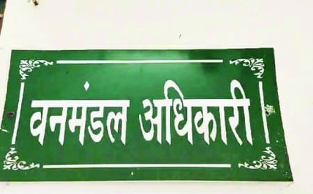 कमीशन न देने पर ठेकेदार को बैक-डेट में ब्लैकलिस्ट: रीवा वन विभाग की मनमानी उजागर, नोटिस 7 महीने बाद भेजा गया-कार्रवाई पर गंभीर सवाल