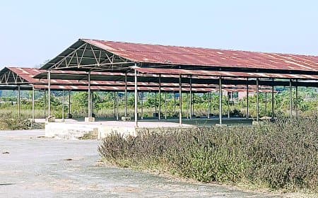 कोठी की करोड़ों की कृषि उपज मंडी बनी वीरान ‘श्मशान’: खरपतवार व गंदगी के बीच किसान भटकते, फसल का सही दाम न मिलने से दोगुनी मार