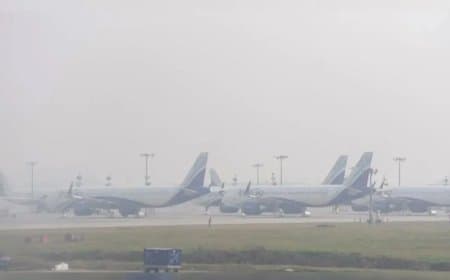 कोहरे का कहर... दिल्ली में 130 फ्लाइट कैंसिल, यूपी-बिहार में छह की मौत