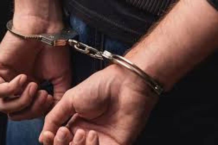 अमेरिका में पाकिस्तान मूल का युवक हथियारों के साथ गिरफ्तार, स्कूल में सामूहिक गोलीबारी की साजिश का खुलासा