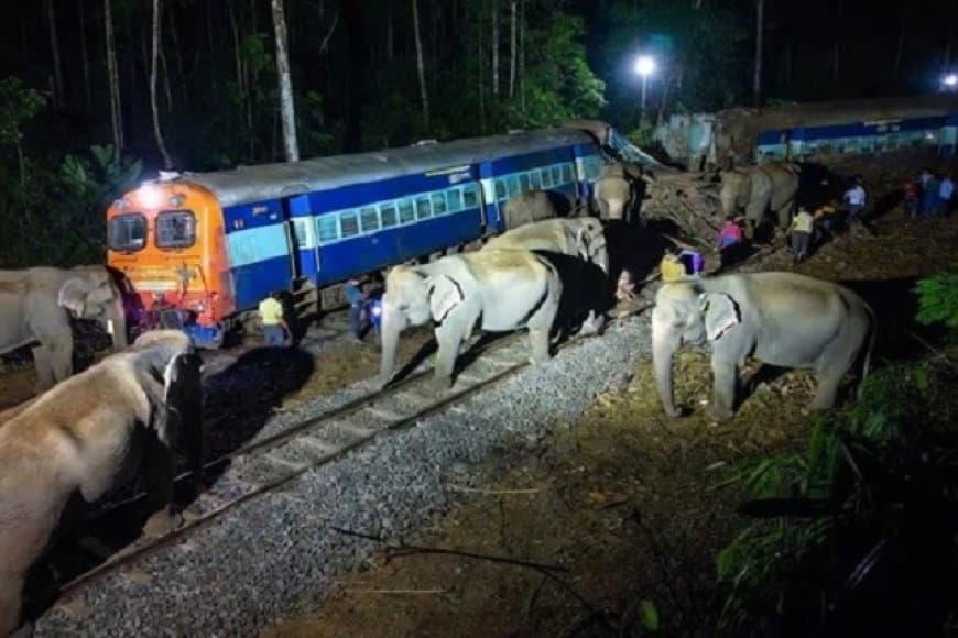 असम... राजधानी एक्सप्रेस बेपटरी... आठ हाथी कटे... यात्री सुरक्षित 