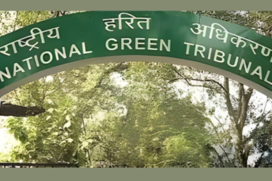 भोपाल अयोध्या बायपास 10-लेन प्रोजेक्ट: NGT ने 7871 पेड़ों की कटाई पर लगाई रोक