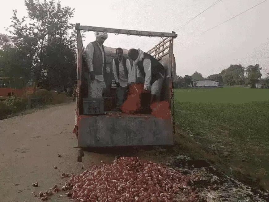 किसान ने 50 कट्टी प्याज सड़क पर फेंकी