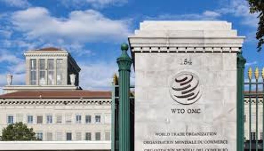 WTO में भारत के खिलाफ चीन की नई शिकायत: ICT और सोलर सब्सिडी पर बढ़ा विवाद