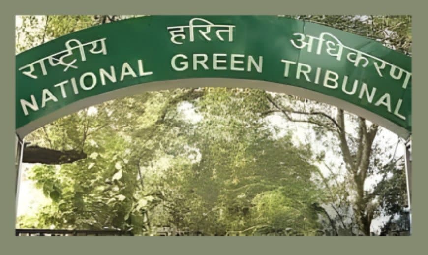 भोपाल अयोध्या बायपास 10-लेन प्रोजेक्ट: NGT ने 7871 पेड़ों की कटाई पर लगाई रोक