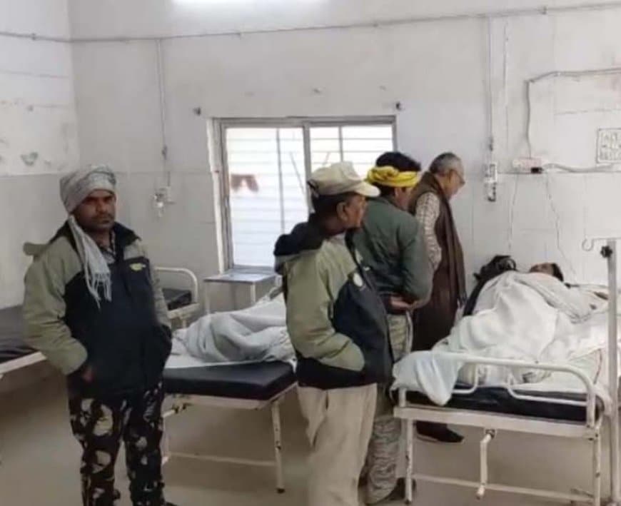 पन्ना टाइगर रिजर्व में खूनी संघर्ष: सागौन तस्करों ने वनकर्मियों पर कुल्हाड़ी से किया हमला, हालत गंभीर