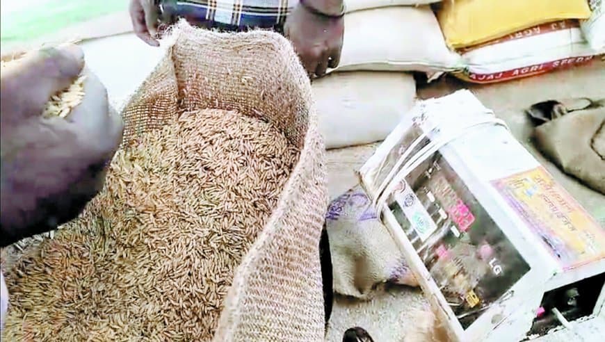 धान उपार्जन : तौलाई... गिनाई... सिलाई में किसान की 'छिलाई'