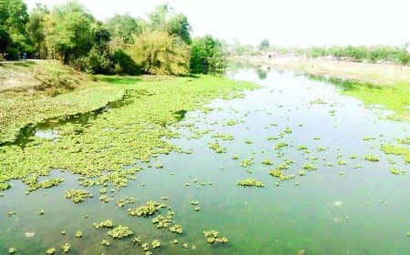 पीने लायक नहीं है बीहर और बिछिया का पानी, बी कैटेगरी में शामिल हुईं नदियां