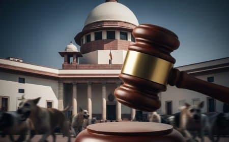 आवारा कुत्तों के हमलों पर सुप्रीम कोर्ट सख्त: 'डॉग लवर्स कुत्तों को घर ले जाएं, हमलों के लिए राज्य सरकार देगी भारी मुआवजा'