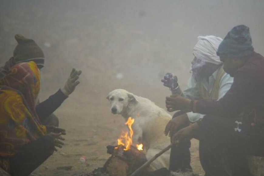 मध्यप्रदेश में कोहरा...बढ़ी ठिठुरन... राजस्थान में शून्य पर पहुंचा पारा