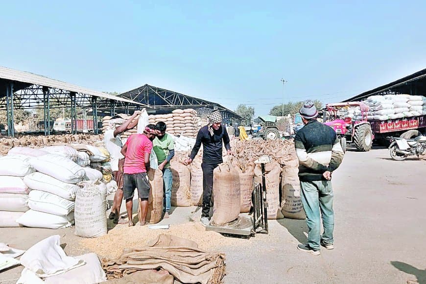 धान परिवहन की सुस्त रफ्तार ने खोली सहकारी व्यवस्था की पोल: 9 उपार्जन केंद्र 30 फीसदी से भी नीचे, भुगतान अटका और भंडारण संकट गहराया