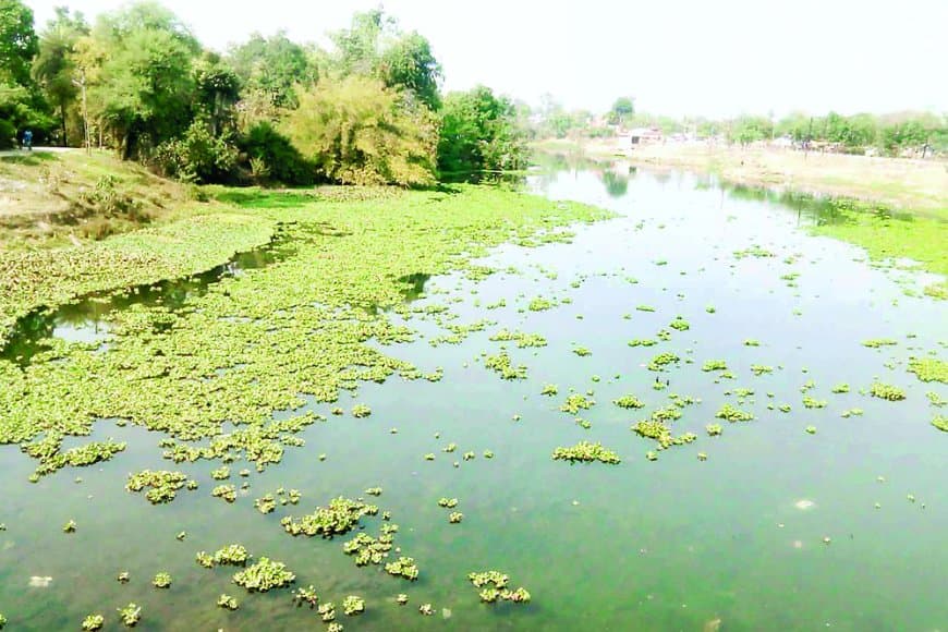 पीने लायक नहीं है बीहर और बिछिया का पानी, बी कैटेगरी में शामिल हुईं नदियां