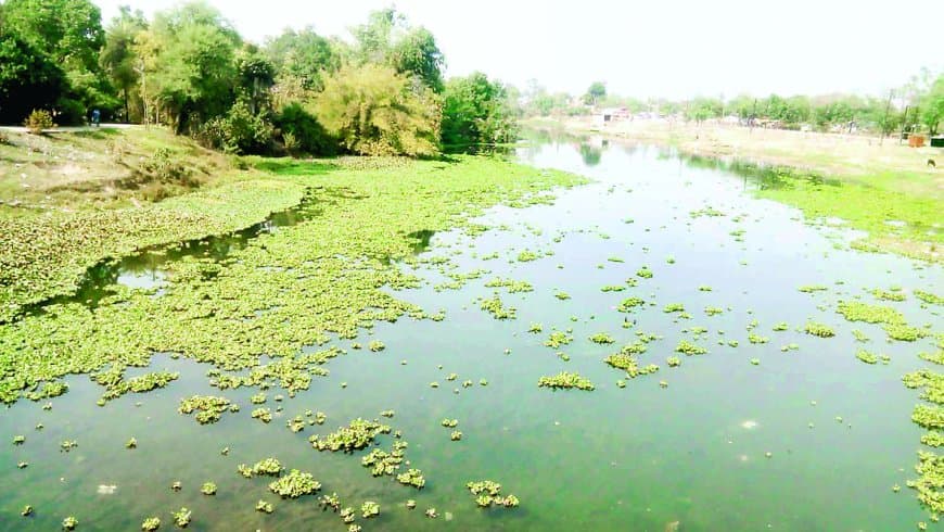 पीने लायक नहीं है बीहर और बिछिया का पानी, बी कैटेगरी में शामिल हुईं नदियां