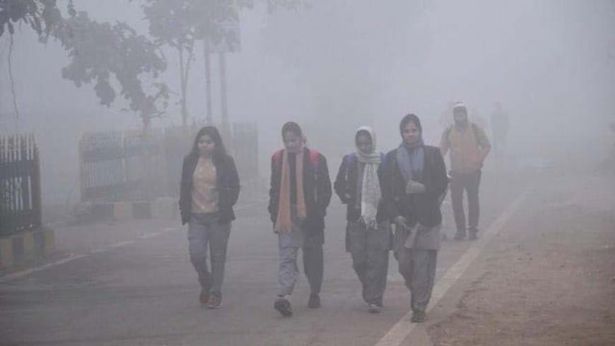 मध्यप्रदेश: सर्द हवाओं ने बढ़ाई सर्दी... छाया कोहरा...कल से फिर बारिश 