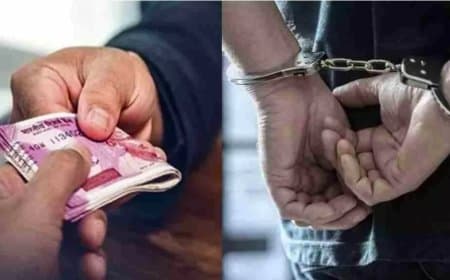मध्यप्रदेश: मुरैना में आरआई ने किसान से ली घूस, रंगेहाथ गिरफ्तार