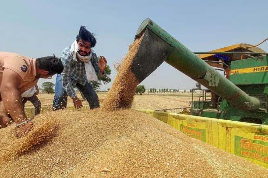 मध्यप्रदेश: किसान हो जाएं अलर्ट.... एमएसपी पर 7 फरवरी से गेहूं का पंजीयन