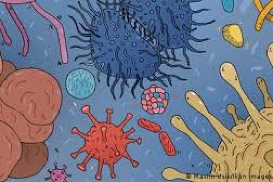 भारत: हर दो एंटीबायोटिक दवा का इस्तेमाल दूध-मांस और अंडा का उत्पादन बढ़ाने में हो रहा 