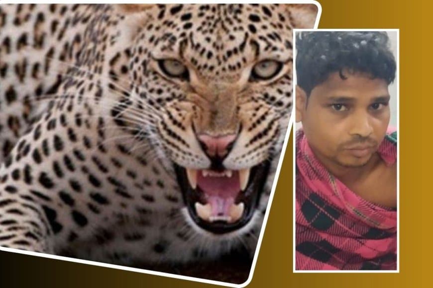 रात का खाना खाने के बाद घर के आंगन में टहल रहे युवक को निशाना बनाया तेंदुए ने