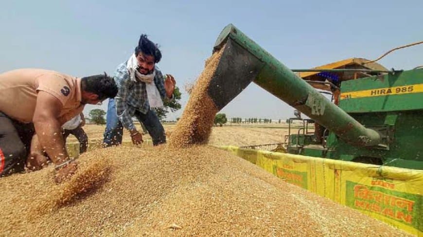 मध्यप्रदेश: किसान हो जाएं अलर्ट.... एमएसपी पर 7 फरवरी से गेहूं का पंजीयन