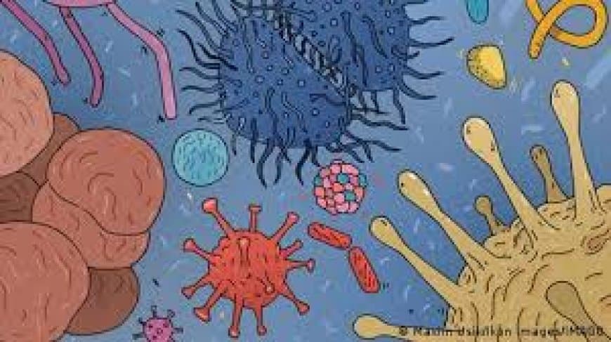 भारत: हर दो एंटीबायोटिक दवा का इस्तेमाल दूध-मांस और अंडा का उत्पादन बढ़ाने में हो रहा 