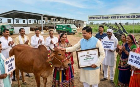 मध्यप्रदेश बनेगा देश की 'मिल्क कैपिटल': लागू  हुई स्वावलंबी गौशाला नीति-2025