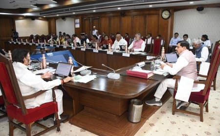 मोहन कैबिनेट: सागर जिले के लिए 286 करोड़ की लागत से मिडवास मध्यम सिंचाई परियोजना मंजूर 