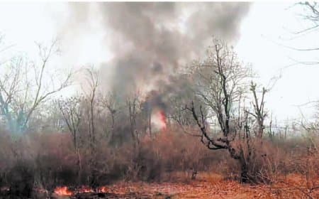 देवलहा जंगल में भीषण आग, दो वनकर्मी झुलसे, कई हेक्टेयर प्रभावित क्षेत्र