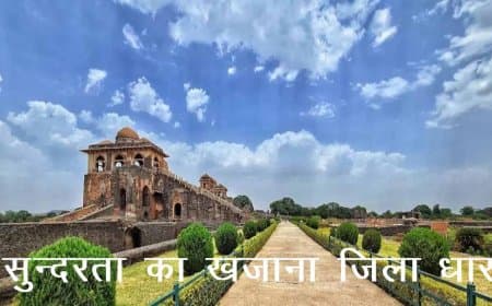 मध्यप्रदेश: देश की 10 चयनित 10 ‘सेफ सिटीज’ में आदिवासी बाहुल्य धार जिला हुआ शामिल