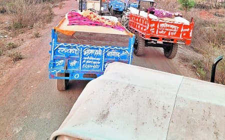 सर्वर फेल से किसान परेशान, न स्लॉट बुकिंग हो रही न उपज चढ़ पा रही