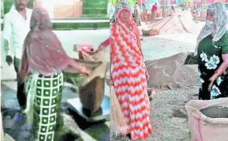 सतना मंडी में महिला हम्माल पर सवाल, लाइसेंस और नियमों पर उठे प्रश्न