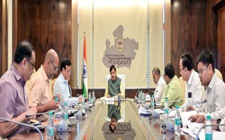 MP में उद्यानिकी क्रांति: मसाला उत्पादन में मध्य प्रदेश अव्वल, उज्जैन में बनेगा 'सेंटर फॉर एक्सीलेंस'