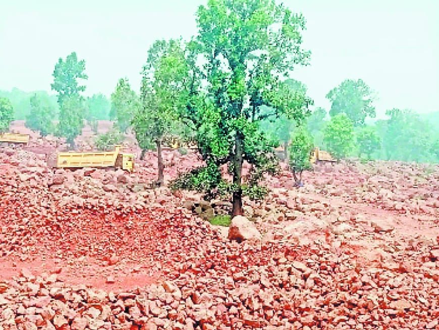 टीकर जंगल में बाक्साइड खदान मंजूर, 31 हेक्टेयर वन क्षेत्र होगा साफ