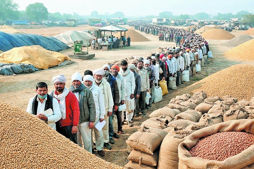 हर 20 में एक किसान को स्लॉट, चना मसूर खरीदी में व्यवस्था कमजोर