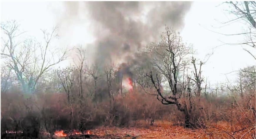 देवलहा जंगल में भीषण आग, दो वनकर्मी झुलसे, कई हेक्टेयर प्रभावित क्षेत्र