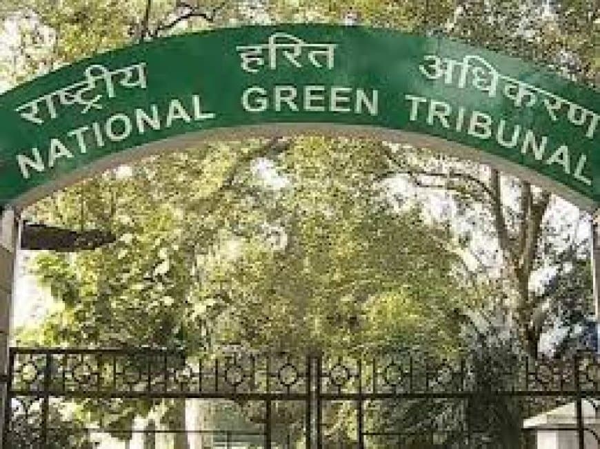 NGT का भोपाल प्रशासन को आदेश: पेड़ों से हटाएं कंक्रीट और लहारपुर डैम का सीवेज रोकें